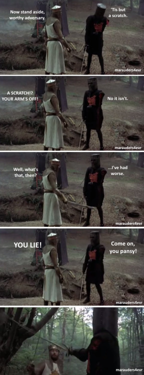 juicyj-caint:  rustlingpages:marauders4evr:It’s just a flesh wound.The single greatest scene in cinematic history.If you try to tell me you didn’t read those lines in those voices then you’re a LIAR  My favorite scene of any movie ever