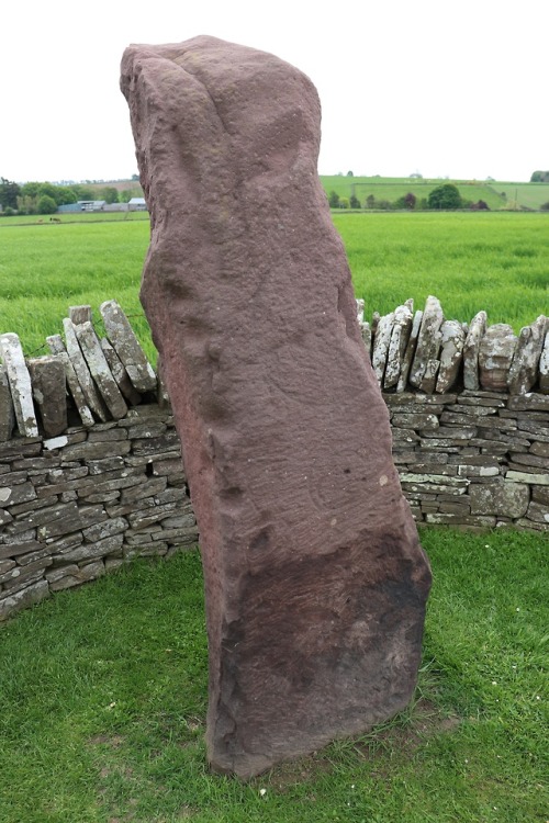 The &lsquo;Crescent Stone&rsquo;, Aberlemno, Angus,Scotland, 20.5.18.This stone was once clearly mar