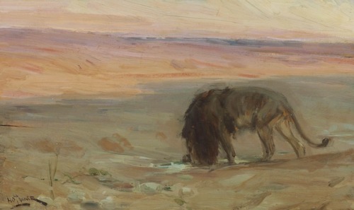 Lion Drinking, Henry Ossawa Tanner, ca. 1897