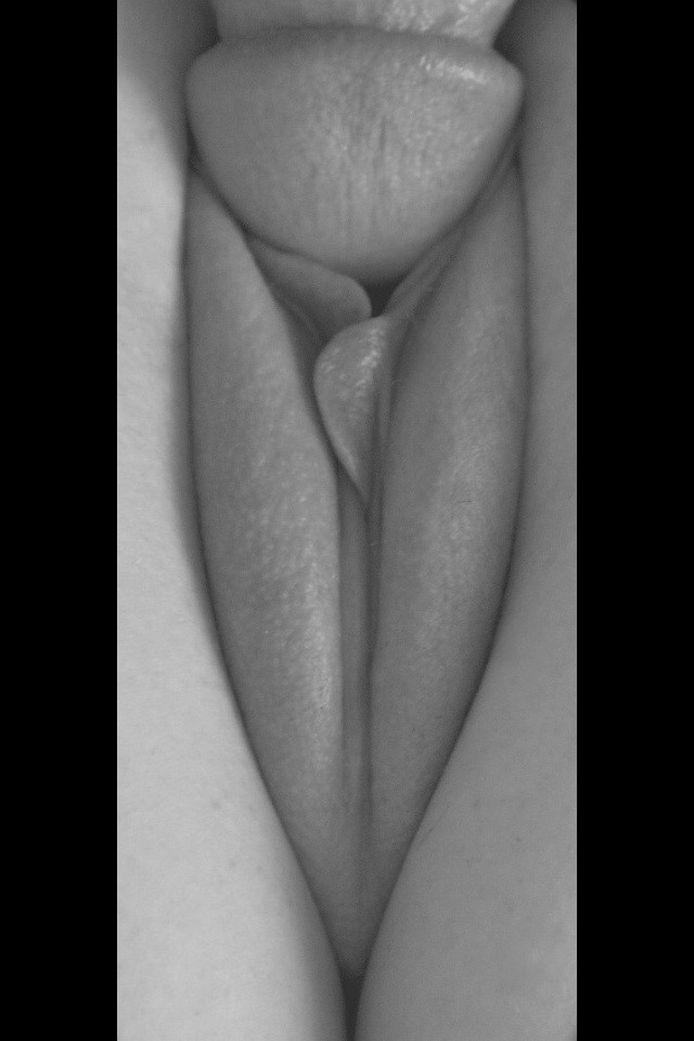 hotwife305:  Perfection!  #xxx #nudes #perfection #hotwife #sexy #love