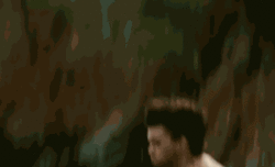editingangels:  Into The Wild