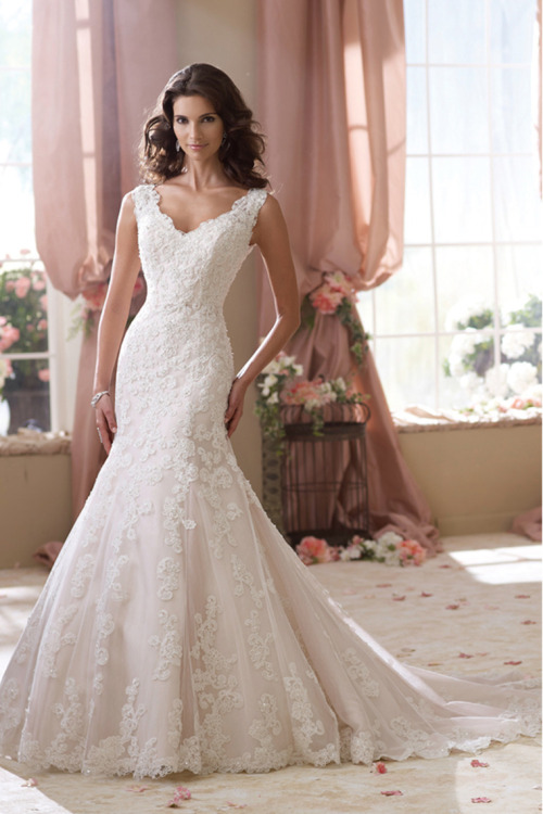 chapel train applique 2014 tulle v-neck wedding dress