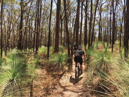 dfitzger:  by @caztheturtle: Mountain biking in Africa seems okay. I mean… Ballarat. #WYMTM #LushNot