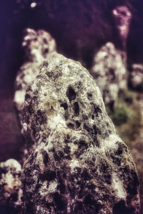 &lsquo;The King&rsquo;s Men&rsquo; Stone Circle, 'The Rollright Stones&rsquo; Prehis