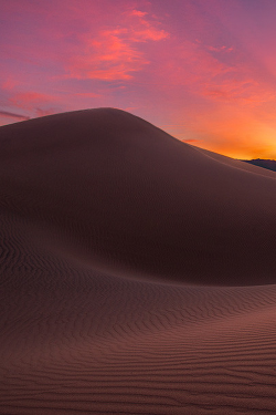 sundxwn:  Mesquite Dunes by Lincoln Harrison