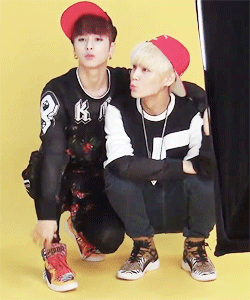 COUGAR NOONA