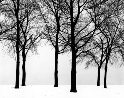 onlyoldphotography:  Harry Callahan: Chicago,