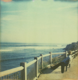 shakasandsinglefins:  Santa Cruz polaroid.  