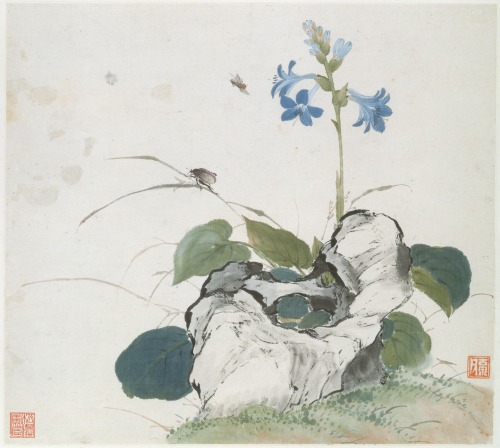 heaveninawildflower:Insects and Flowersby Ju Lian (Chinese, 1828–1904).Album of eight leaves; ink an