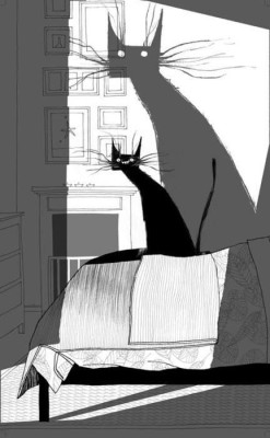 catasters: