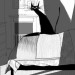 catasters:
