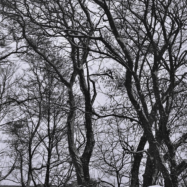 differed:from my window sill // instagram