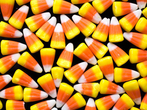 merelygifted: Candy corn photos by Vicky Wasik