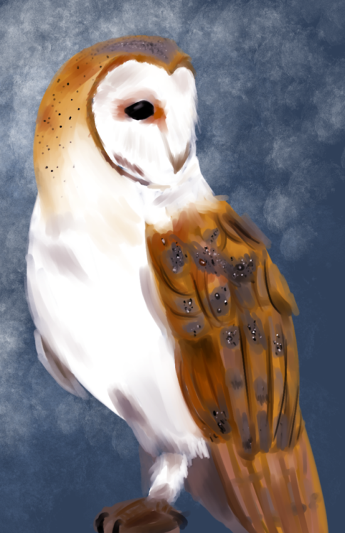 arthurroseart: I painted this owl last year in highschool for their Winter art show but now I’