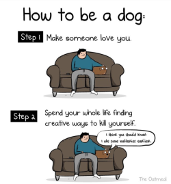 tastefullyoffensive:  by The Oatmeal