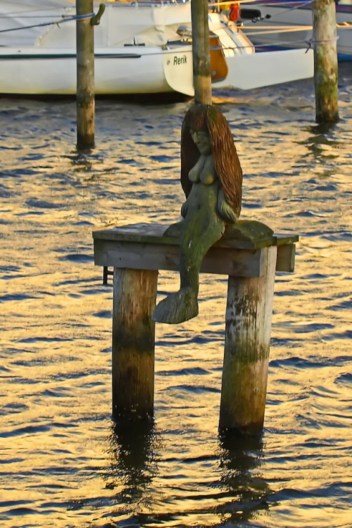 Hello little Mermaid. Hallo kleine Meerjungfrau.Figure of a Mermaid in Rerik at the Baltic Sea.