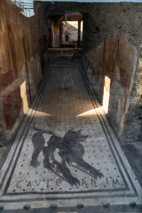 akcanzi:The original Cave Canem at the House of the Tragic PoetVia delle Terme - Scavi di Pompei © 2