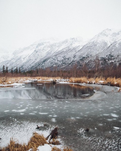 an-adventurers:  Eagle River Nature Center