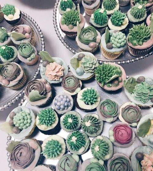 Cacti cakes by BK Floral Delight