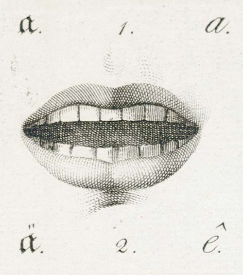 Position of the lips, education manual, 19th century. Lehrbuch über die in jeder Sprache anwendbare 