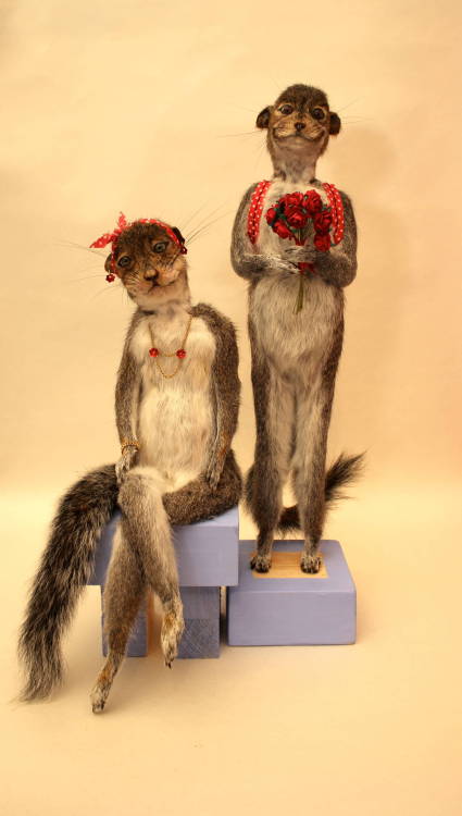 crappytaxidermy:Adorable little British squirrel people that Adele Morse created for the Crap Taxide