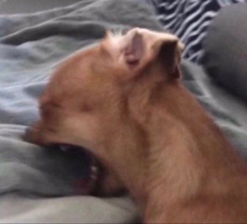 Uuuughhh I Wanna Play V Rising So Bad