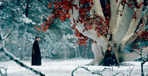 petyrbaelishs:  “Which would you have as Lord of Winterfell, Snow? The smiler or the slayer?“ Jon sa