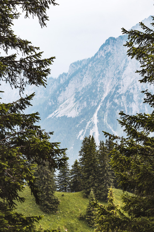 Bavarian Alps, GermanyPhoto by: @mtlmonti