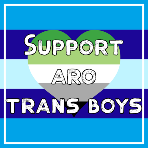 mogaicore:Support trans dudes, they deserve it[ID: Ten graphics with a variation of the trans man pr