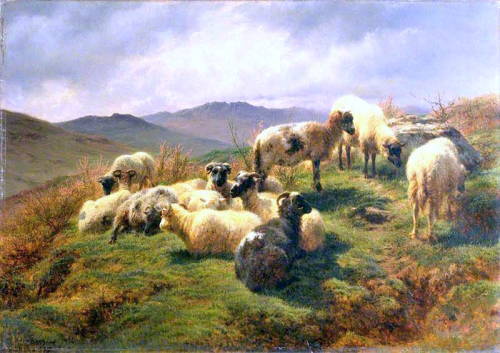 Sheep in the Highlands, 1857, Rosa Bonheurwww.wikiart.org/en/rosa-bonheur/sheep-in-the-highl