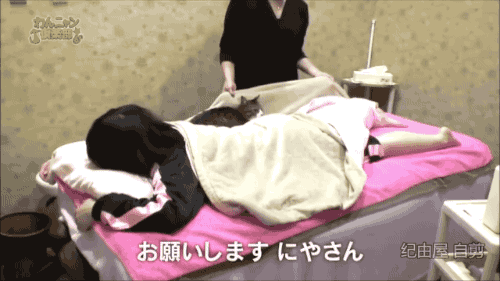 Porn gifsboom:  Cat massage. [video]  photos