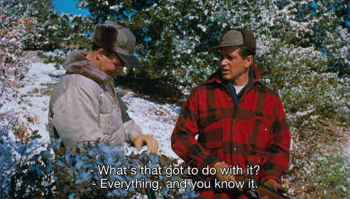 All That Heaven Allows (Douglas Sirk, 1955)