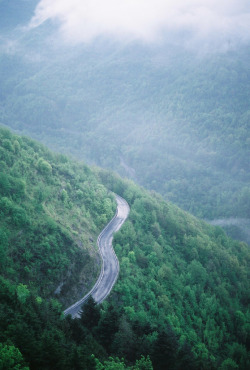 lvndcity:  The road to Molini by Laura Thorne (2011) Italy