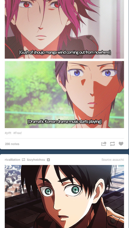 the-dick-lord-levi:  GUYS MY DASH DID A THING. ALL OF THEIR HAIR WAS FLOWING SOFTLY