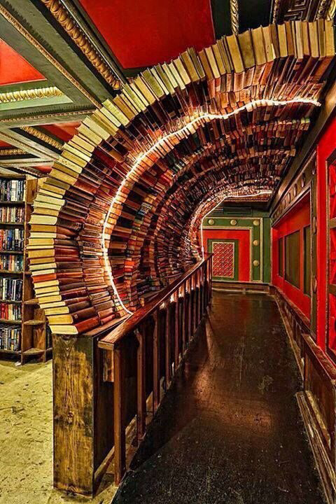 rabblerabblerabblestuff:  firmmaster:  A tunnel of Knowledge  I FUCKING WANT THIS!  ✨