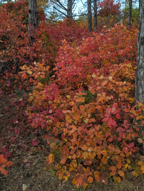 "There Is No Better Time Than The Autumn To Begin Forgetting The Things That Trouble Us, Allowing Them