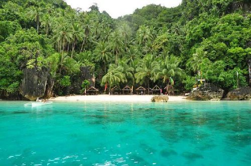 theadventurechild: Jungle/tropical blog