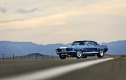 if68auto:  GT500 Ford Mustang!