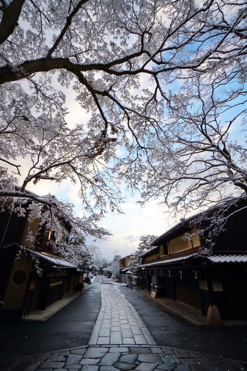 chitaka45:  京都 今宮神社 ❄️雪景色❄️2019.1.27 kyoto imamiyajinja