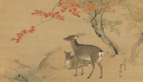 Mori Sosen, Stag amid Autumn Flowers, detail of a Hanging Scroll, before 1807. 2 Maruyama Ōkyo, Two 