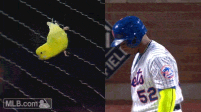 Top GIFs of 2015