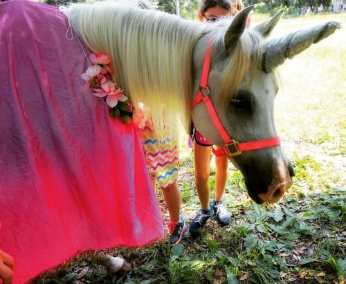 Lady the Unicorn #unicorn #summercamp #camplife #ladytheunicorn #gswcf #girlscoutcamp #unicornsarere