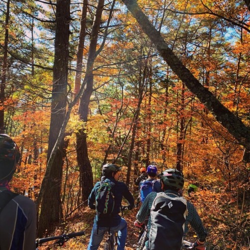 tsurun: 今日も紅葉にも天気にも恵まれた‍♀️トレイルカッター (道の駅 南アルプスむら はせ)www.instagram.com/p/BqBoFS8l0EX/?utm_sour