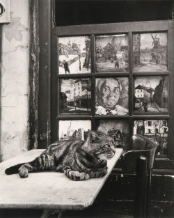Luzfosca:  Izis Bidermanas  “Bar Eugene, Place Du.” (Cat), 1949 Also  Kot. Najlepszy