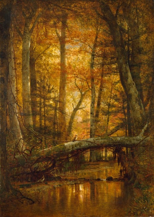 The Emerald Pool (View in the Ashokan Forest), Worthington Whittredge, 1868