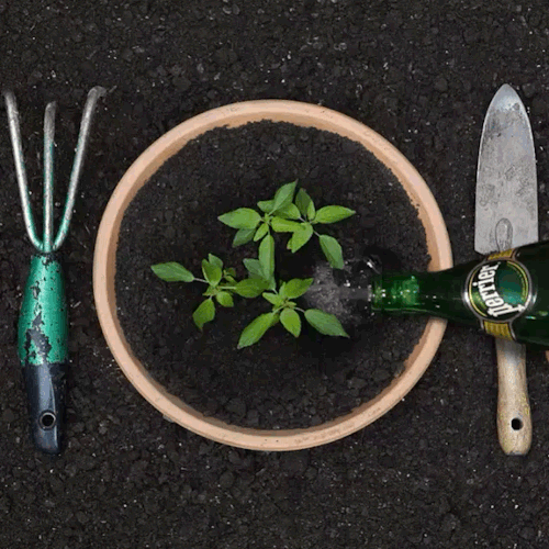 perrier:  Make Life Extraordinary – Reach for a Perrier#extraordinaireperrier