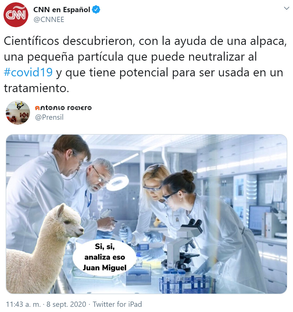 La Alpaca científica