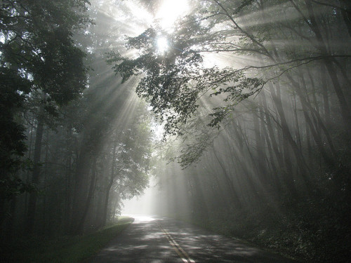 misty walk at sunrise &hellip; by october blue on Flickr.