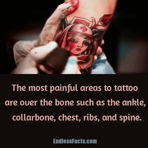 8 Facts about Tattoos