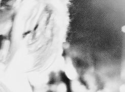 ohmythundergod:  Thor Week: Ships and Solo nsfw Thor 